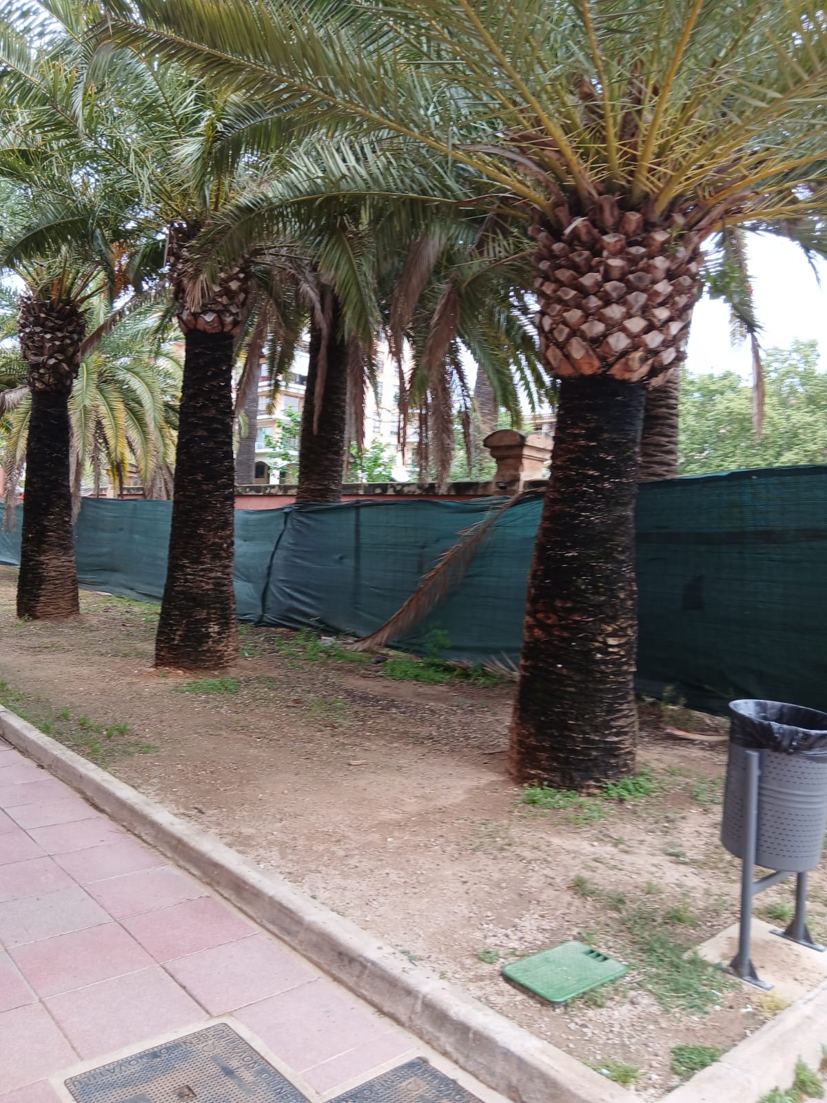 Deteriorament de S'Escorxador